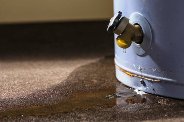 Reliable IA Water damage restoration Solutions