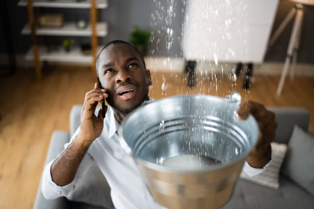 Best Residential water damage restoration  in Janesville, IA
