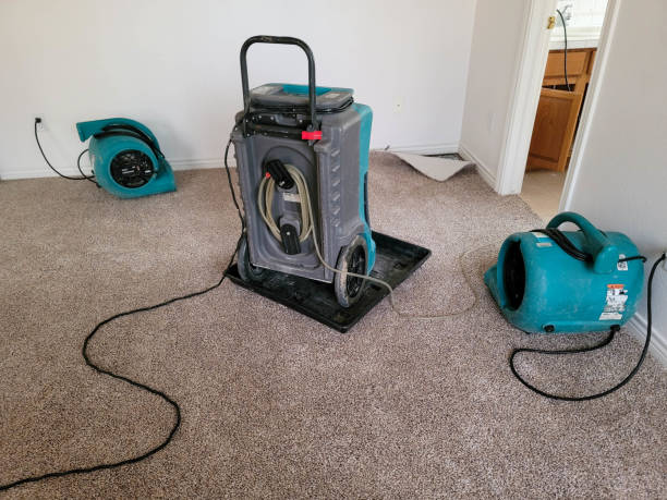 Best Residential water damage restoration  in Janesville, IA