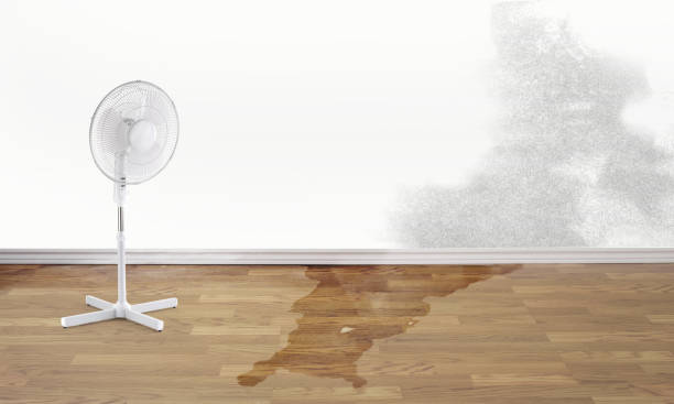 Best Flood damage cleanup  in Janesville, IA