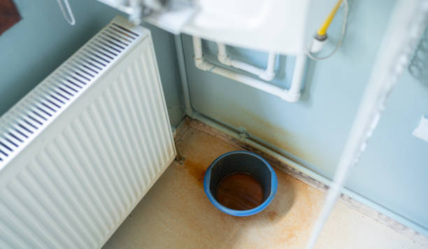 Best 24/7 water damage repair  in Janesville, IA