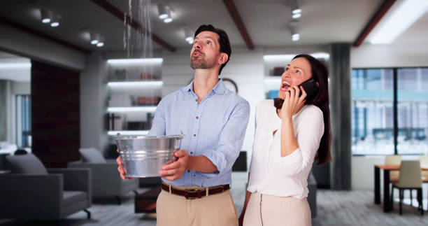 Best 24-hour water damage restoration  in Janesville, IA