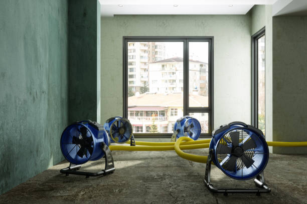 Best Flood restoration services  in Janesville, IA