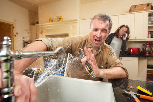 Best Water damage restoration near me  in Janesville, IA